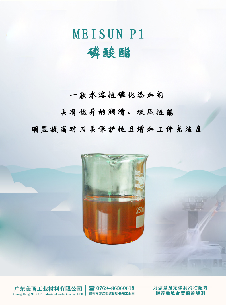P1.jpg